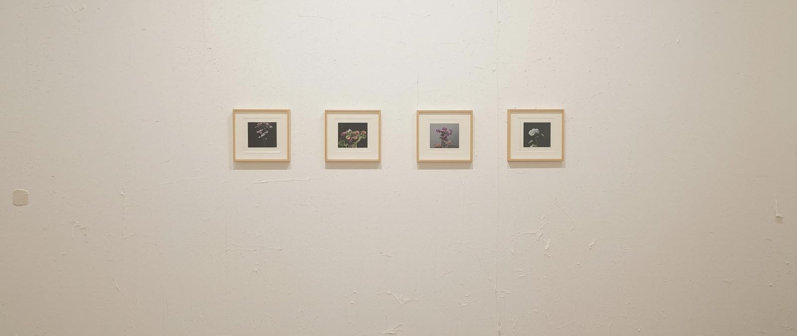 Disposer quatre cadres sur un mur : idées déco et règles essentielles